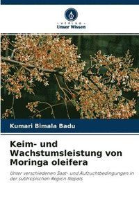 bokomslag Keim- und Wachstumsleistung von Moringa oleifera