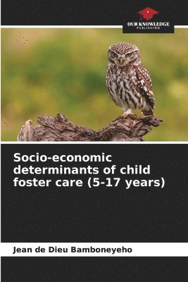 bokomslag Socio-economic determinants of child foster care (5-17 years)