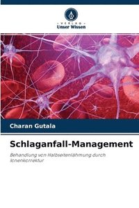 bokomslag Schlaganfall-Management
