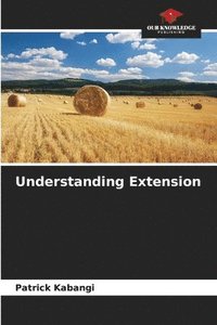 bokomslag Understanding Extension