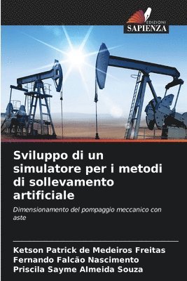 Sviluppo di un simulatore per i metodi di sollevamento artificiale 1