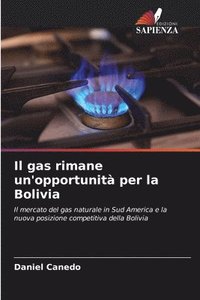 bokomslag Il gas rimane un'opportunit per la Bolivia