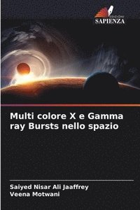 bokomslag Multi colore X e Gamma ray Bursts nello spazio