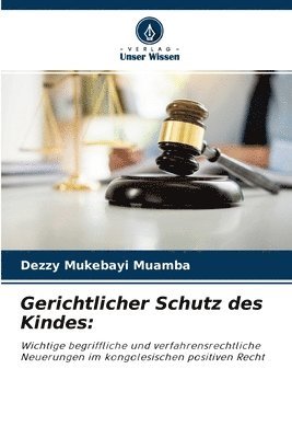 bokomslag Gerichtlicher Schutz des Kindes