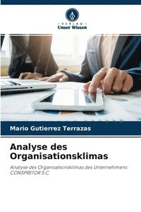 bokomslag Analyse des Organisationsklimas