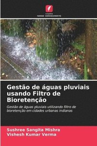 bokomslag Gesto de guas pluviais usando Filtro de Bioreteno