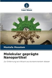 bokomslag Molekular geprgte Nanopartikel