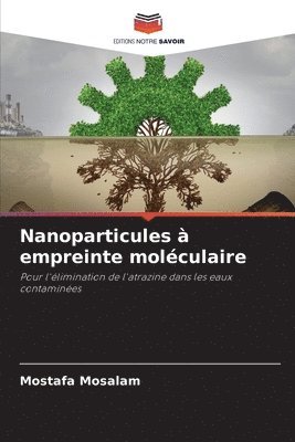 bokomslag Nanoparticules  empreinte molculaire