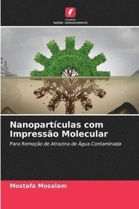bokomslag Nanopartculas com Impresso Molecular