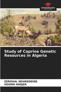 bokomslag Study of Caprine Genetic Resources in Algeria