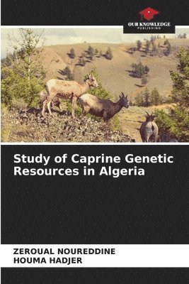 bokomslag Study of Caprine Genetic Resources in Algeria