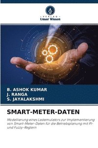 bokomslag Smart-Meter-Daten