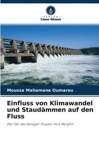 bokomslag Einfluss von Klimawandel und Staudmmen auf den Fluss