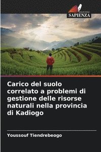 bokomslag Carico del suolo correlato a problemi di gestione delle risorse naturali nella provincia di Kadiogo