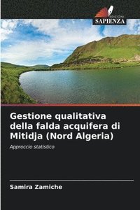 bokomslag Gestione qualitativa della falda acquifera di Mitidja (Nord Algeria)