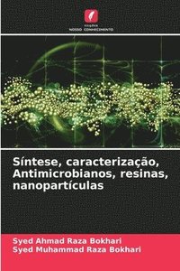 bokomslag Sntese, caracterizao, Antimicrobianos, resinas, nanopartculas