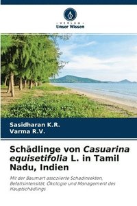 bokomslag Schdlinge von Casuarina equisetifolia L. in Tamil Nadu, Indien