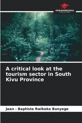 bokomslag A critical look at the tourism sector in South Kivu Province