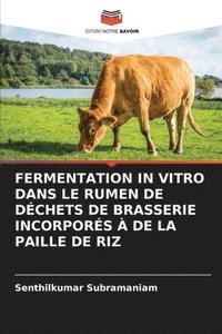 bokomslag Fermentation in Vitro Dans Le Rumen de Dchets de Brasserie Incorpors  de la Paille de Riz