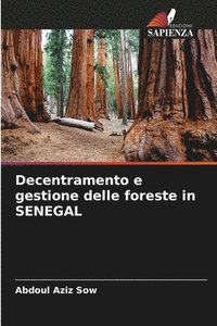 bokomslag Decentramento e gestione delle foreste in SENEGAL