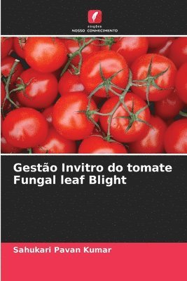 Gestao Invitro do tomate Fungal leaf Blight 1