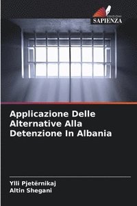 bokomslag Applicazione Delle Alternative Alla Detenzione In Albania