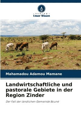 Landwirtschaftliche und pastorale Gebiete in der Region Zinder 1