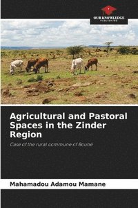 bokomslag Agricultural and Pastoral Spaces in the Zinder Region
