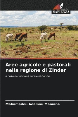 bokomslag Aree agricole e pastorali nella regione di Zinder
