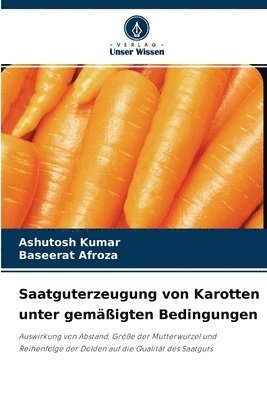 Saatguterzeugung von Karotten unter gemigten Bedingungen 1