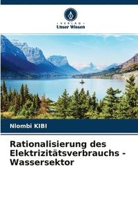 bokomslag Rationalisierung des Elektrizittsverbrauchs - Wassersektor