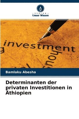 Determinanten der privaten Investitionen in thiopien 1