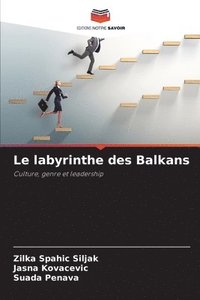 bokomslag Le labyrinthe des Balkans