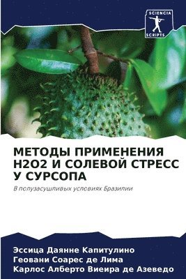 bokomslag &#1052;&#1045;&#1058;&#1054;&#1044;&#1067; &#1055;&#1056;&#1048;&#1052;&#1045;&#1053;&#1045;&#1053;&#1048;&#1071; H2o2 &#1048; &#1057;&#1054;&#1051;&#1045;&#1042;&#1054;&#1049;