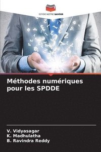 bokomslag Methodes numeriques pour les SPDDE