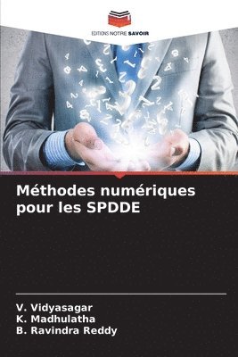 Methodes numeriques pour les SPDDE 1