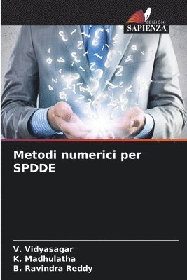 bokomslag Metodi numerici per SPDDE