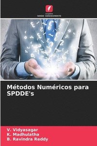 bokomslag Metodos Numericos para SPDDE's