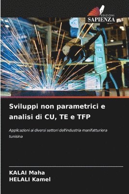 Sviluppi non parametrici e analisi di CU, TE e TFP 1