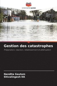bokomslag Gestion des catastrophes