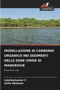 bokomslag Modellazione Di Carbonio Organico Nei Sedimenti Delle Zone Umide Di Mangrovie