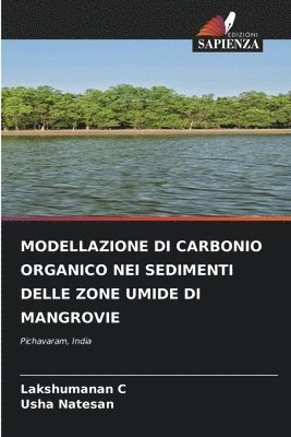 Modellazione Di Carbonio Organico Nei Sedimenti Delle Zone Umide Di Mangrovie 1