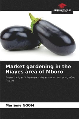Market gardening in the Niayes area of Mboro 1