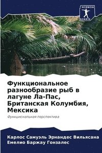 bokomslag &#1060;&#1091;&#1085;&#1082;&#1094;&#1080;&#1086;&#1085;&#1072;&#1083;&#1100;&#1085;&#1086;&#1077; &#1088;&#1072;&#1079;&#1085;&#1086;&#1086;&#1073;&#1088;&#1072;&#1079;&#1080;&#1077;