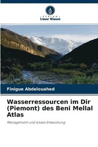 bokomslag Wasserressourcen im Dir (Piemont) des Beni Mellal Atlas