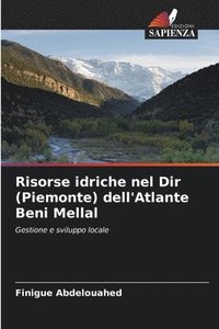 bokomslag Risorse idriche nel Dir (Piemonte) dell'Atlante Beni Mellal
