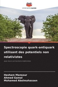 bokomslag Spectroscopie quark-antiquark utilisant des potentiels non relativistes