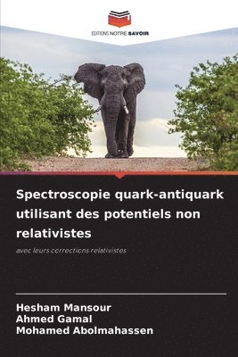 bokomslag Spectroscopie quark-antiquark utilisant des potentiels non relativistes