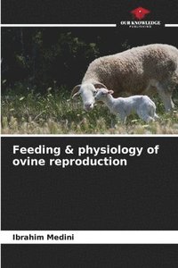bokomslag Feeding & physiology of ovine reproduction