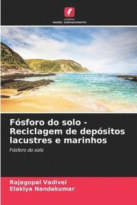 bokomslag Fsforo do solo - Reciclagem de depsitos lacustres e marinhos